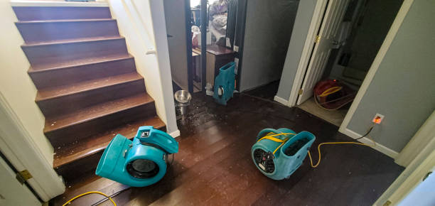 Professional Water damage restoration in Airway Heights, WA