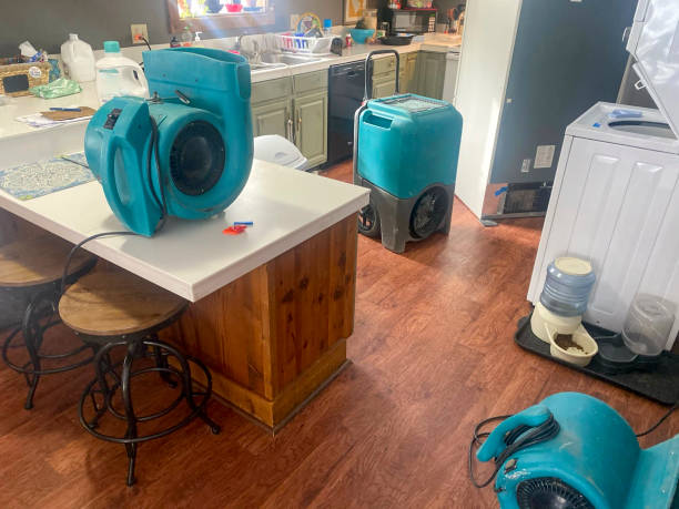 Best Ceiling water damage repair  in Airy Heights, WA