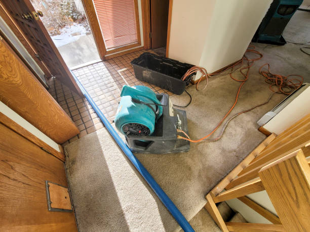 Best Commercial water damage restoration  in Airy Heights, WA