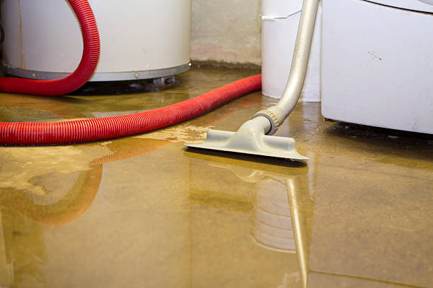Best Sewage cleanup and water damage restoration  in Airy Heights, WA