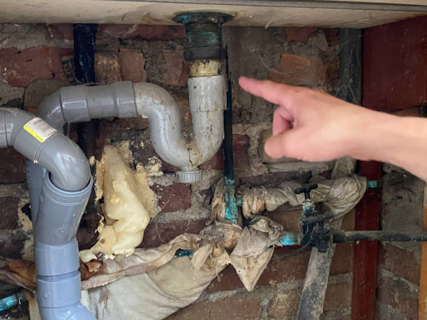 Best Water damage restoration near me  in Airy Heights, WA