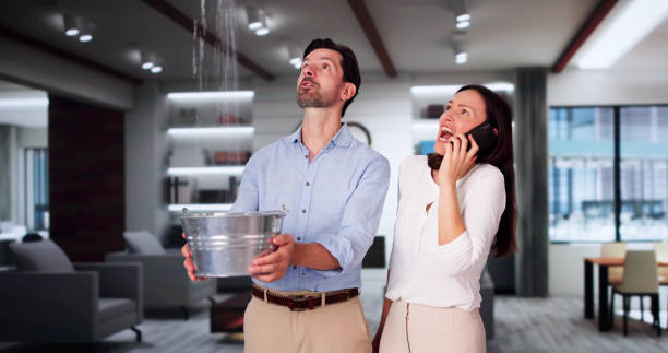 Best Local water damage restoration  in Airy Heights, WA
